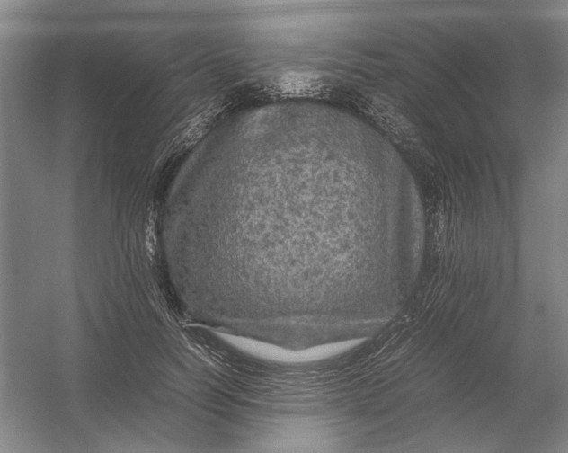 X0000054410746200508192031