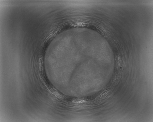 X0000054410747200508192031