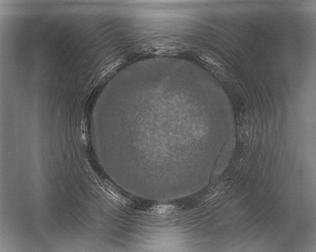 X0000054410748200508192031