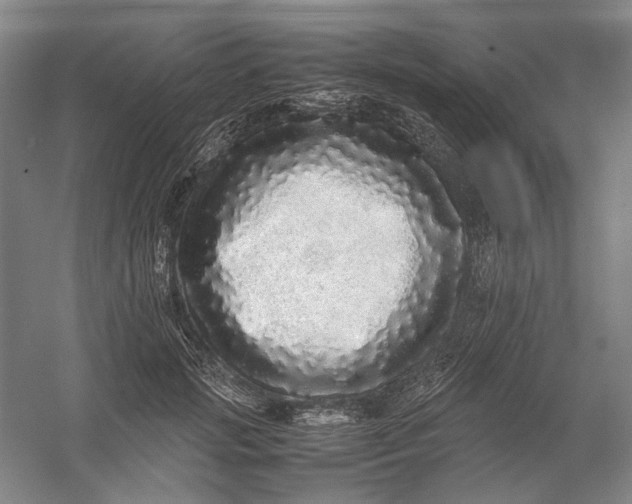X0000054410749200508192031