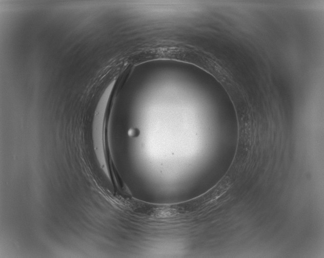 X0000054410750200508192031