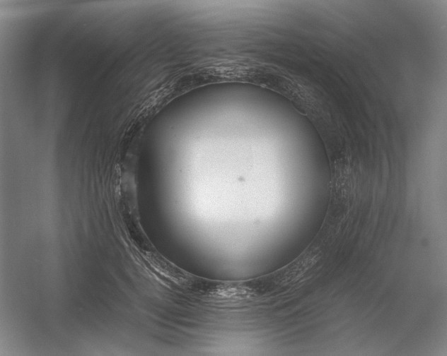 X0000054410752200508192031
