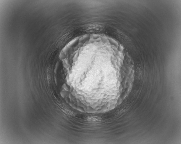 X0000054410753200508192031