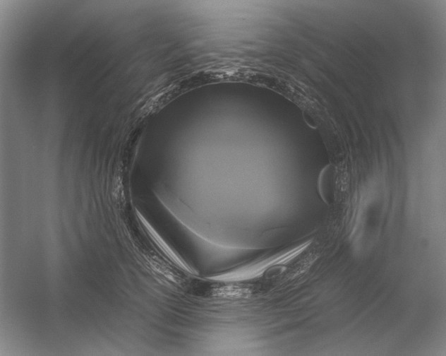 X0000054410754200508192031
