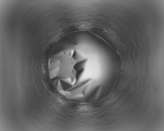 X0000054410755200508192031