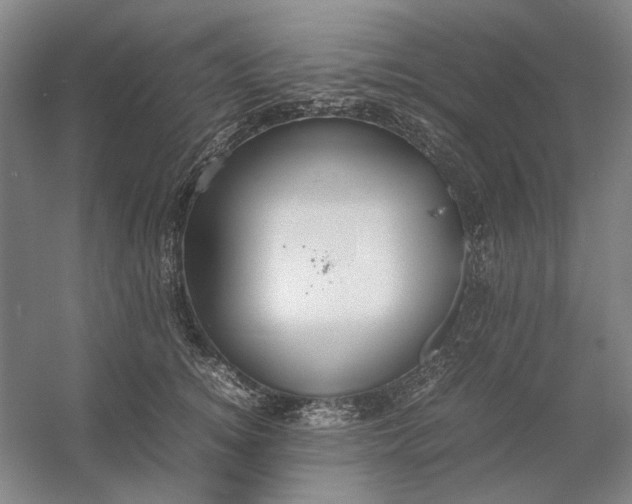 X0000054410756200508192031