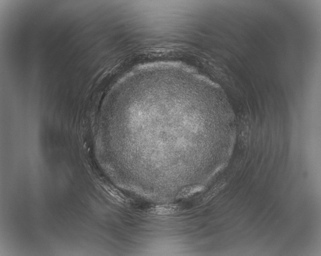 X0000054410758200508192031