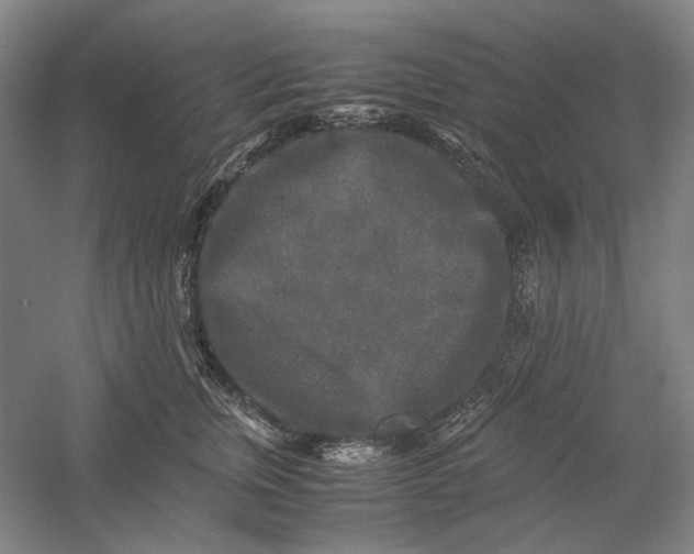 X0000054410759200508192031