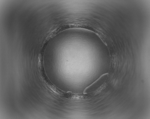 X0000054410760200508192031