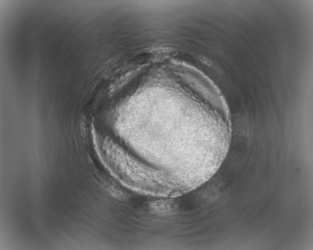 X0000054410761200508192031