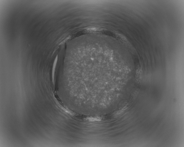 X0000054410765200508192031