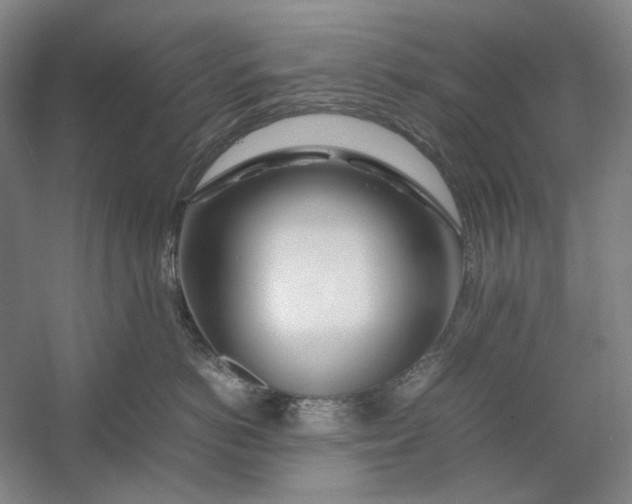 X0000054410766200508192031