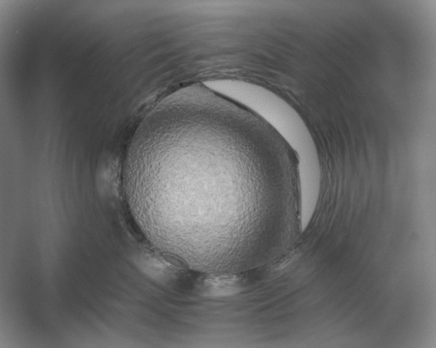 X0000054410767200508192031