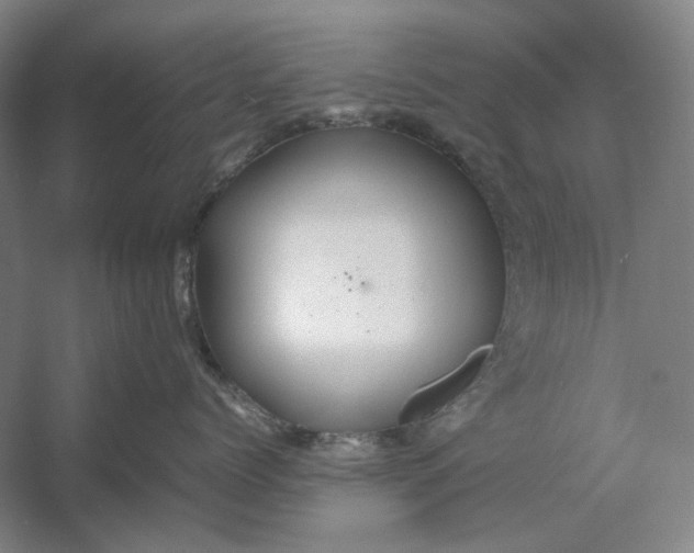 X0000054410768200508192031