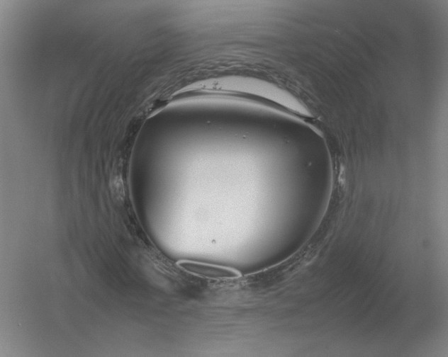 X0000054410771200508192030