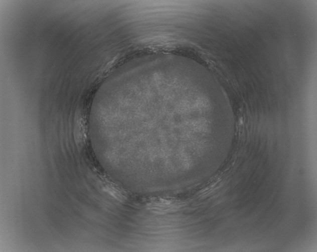 X0000054410772200508192030