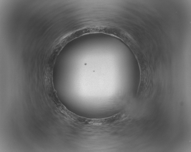 X0000054410773200508192030