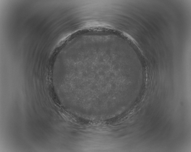 X0000054410775200508192030