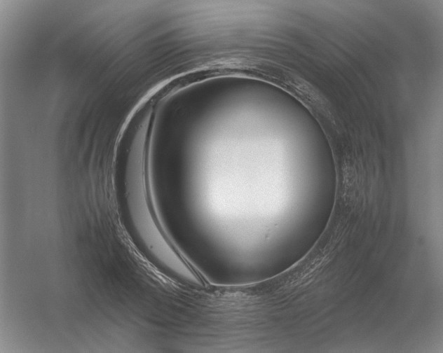 X0000054410784200508192030