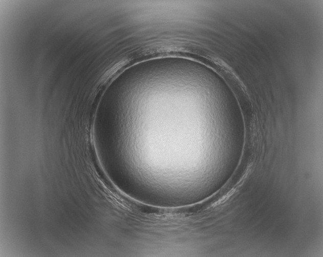 X0000054410785200508192030