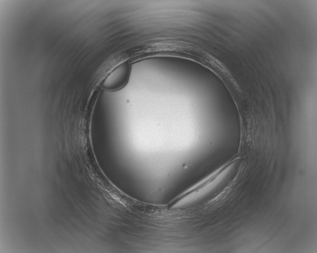 X0000054410786200508192030