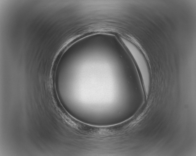 X0000054410787200508192030
