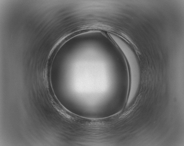 X0000054410788200508192030