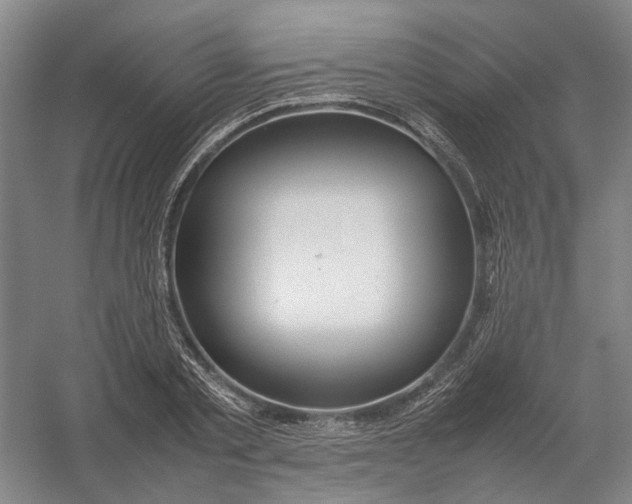 X0000054410789200508192030