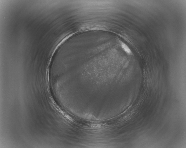 X0000054410790200508192030