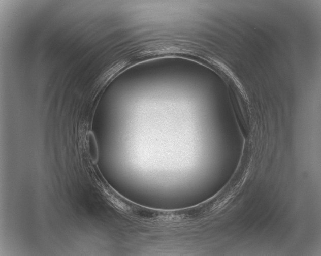 X0000054410793200508192030