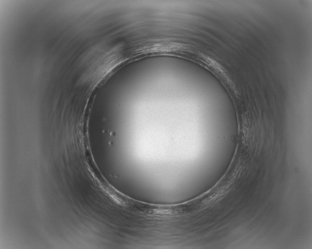 X0000054410794200508192030