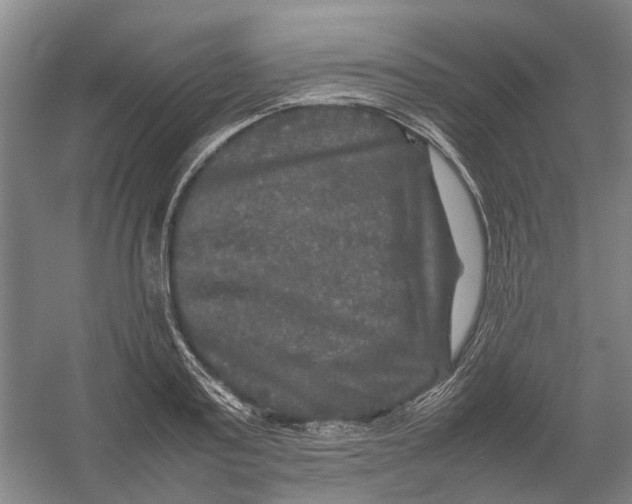 X0000054410795200508192030