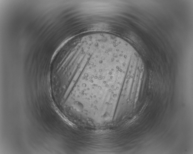 X0000054410796200508192030
