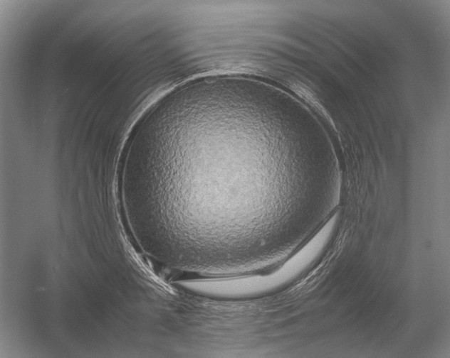 X0000054410797200508192030