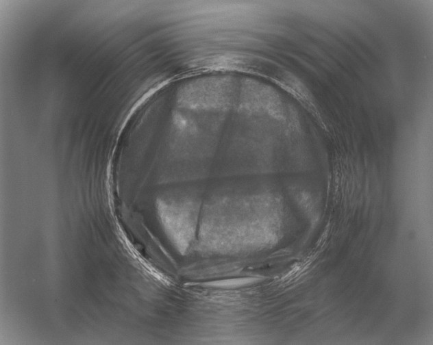 X0000054410798200508192030