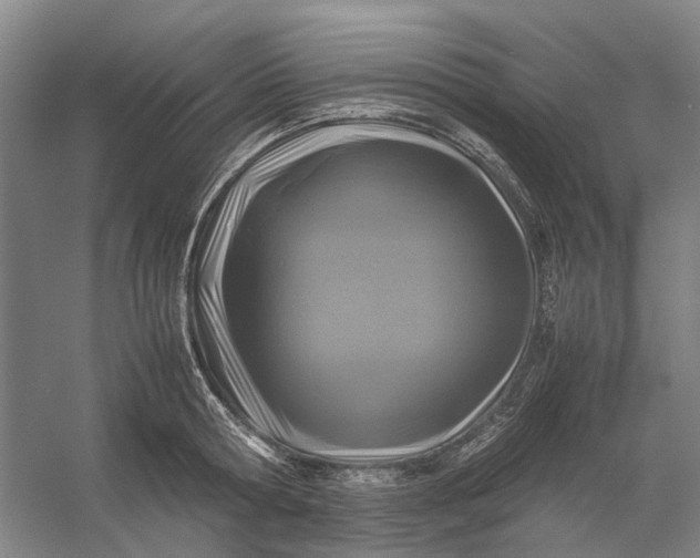 X0000054410802200508192030
