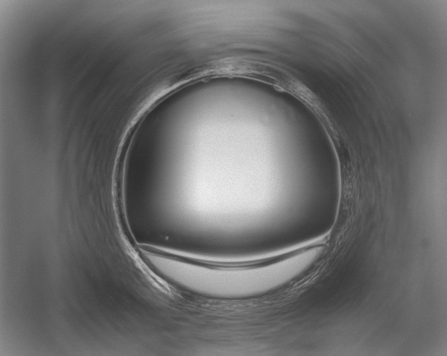 X0000054410803200508192030