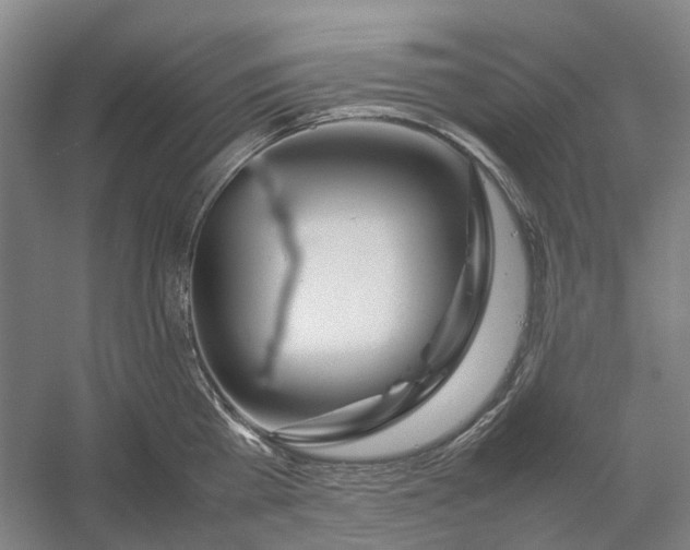 X0000054410809200508192029