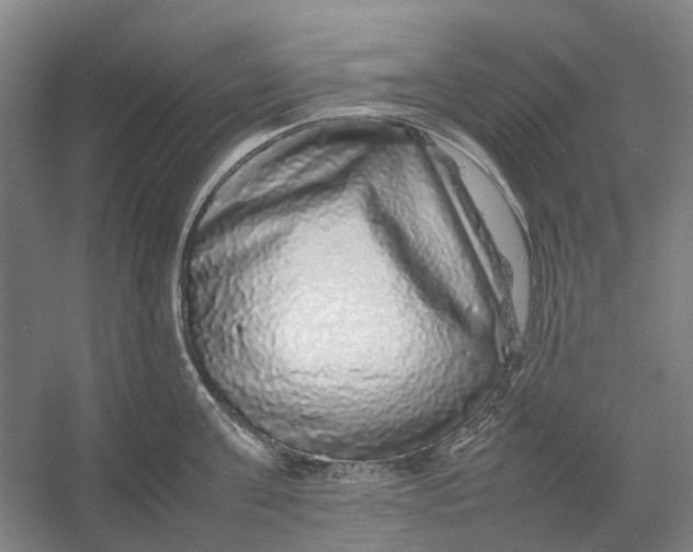 X0000054410811200508192029