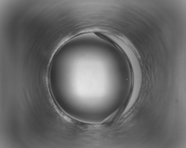 X0000054410813200508192029