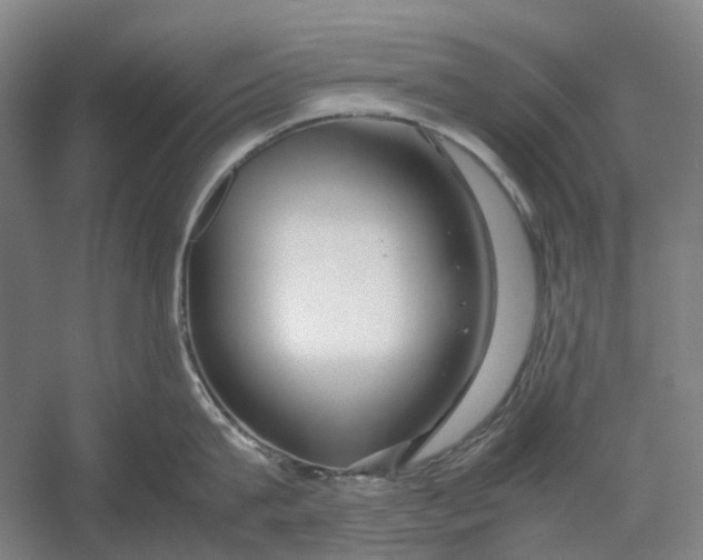 X0000054410815200508192029