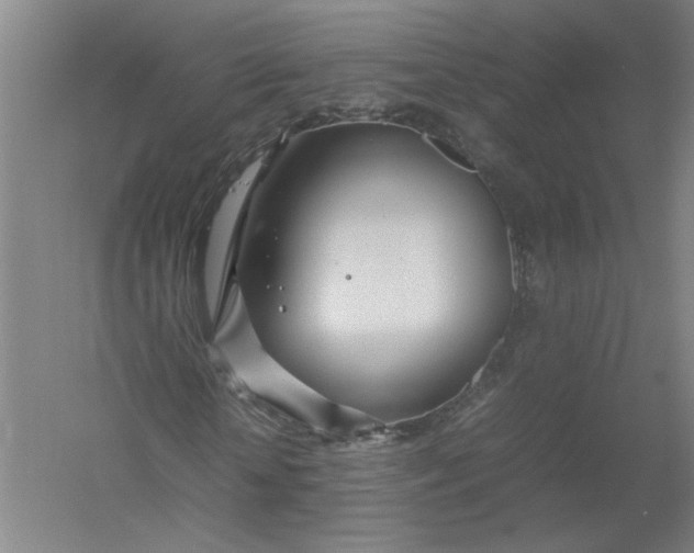 X0000054410818200508192029