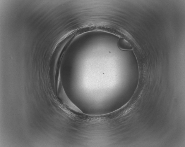 X0000054410826200508192029