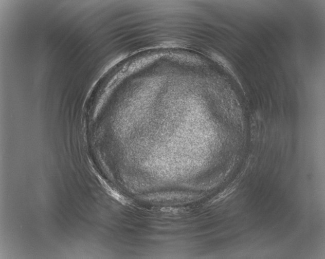 X0000054410827200508192029