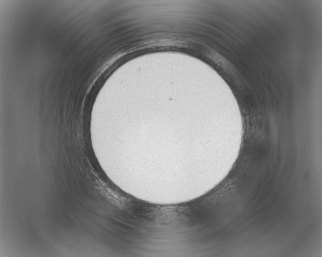 X0000054410828200508192029