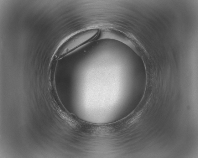 X0000054410830200508192029