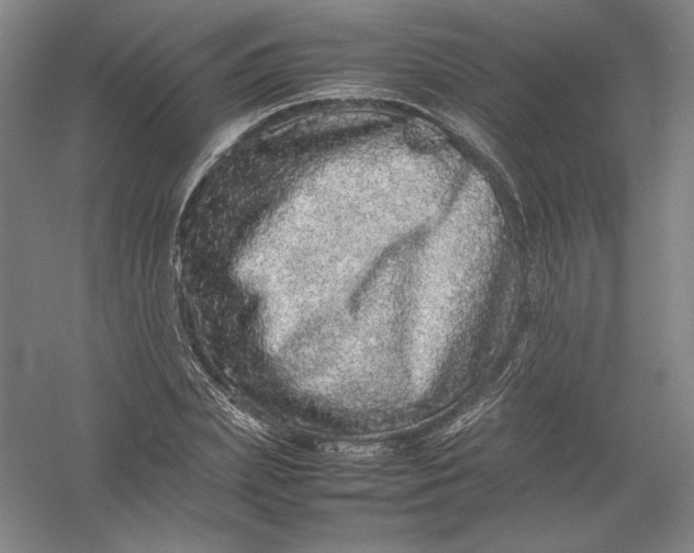 X0000054410831200508192029