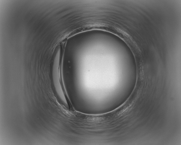 X0000054410833200508192029