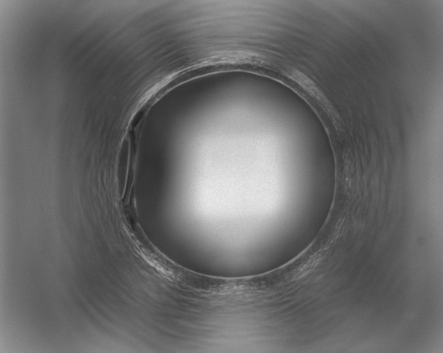 X0000054410834200508192029