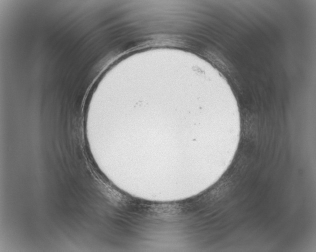 X0000054410836200508192029